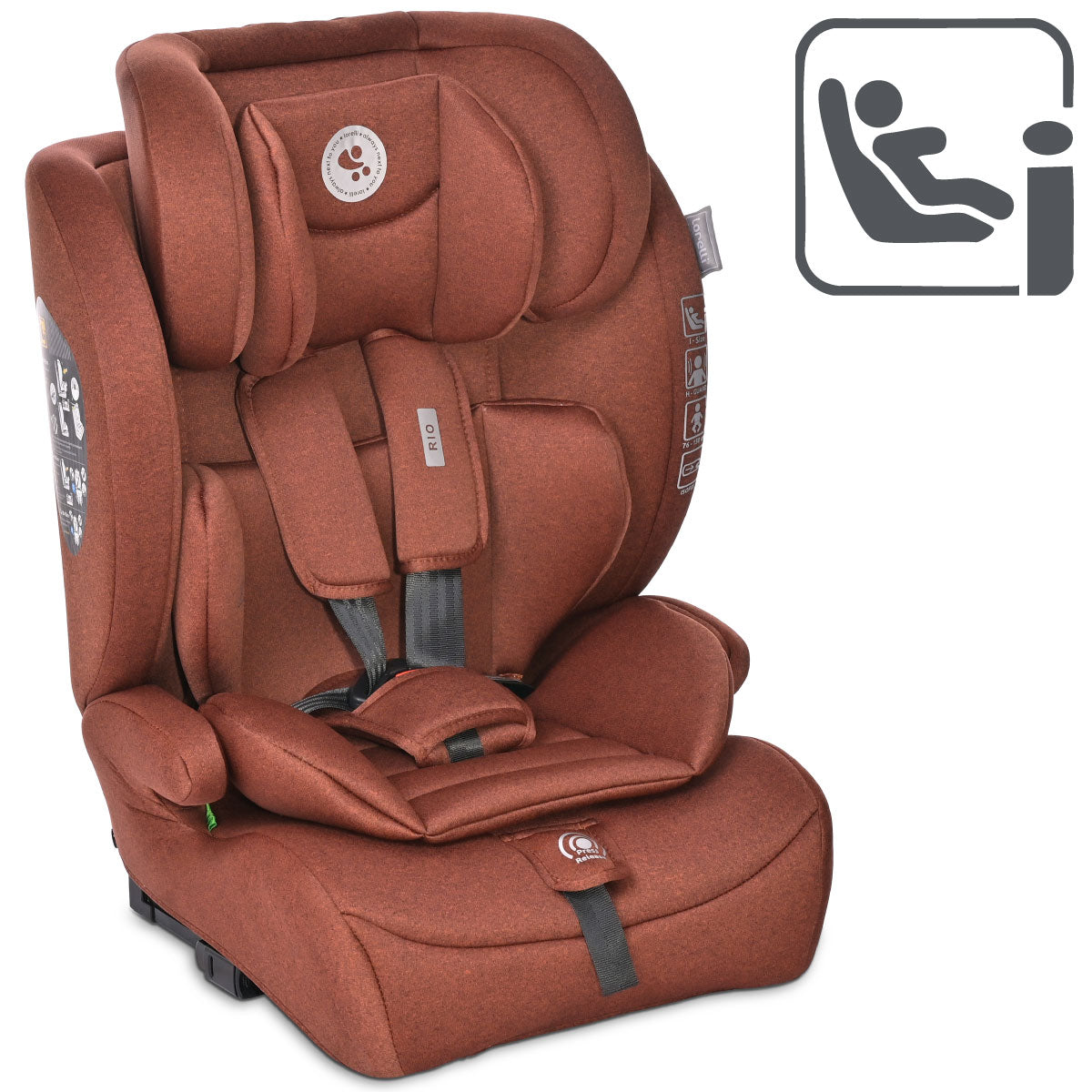 33263a3532d56f9935d5a8e7002a4c9c