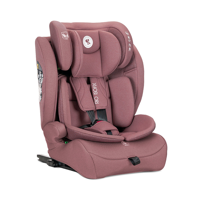 Lorelli Rio - fotelik i-Size 76-150 cm ISOFIX | Pink