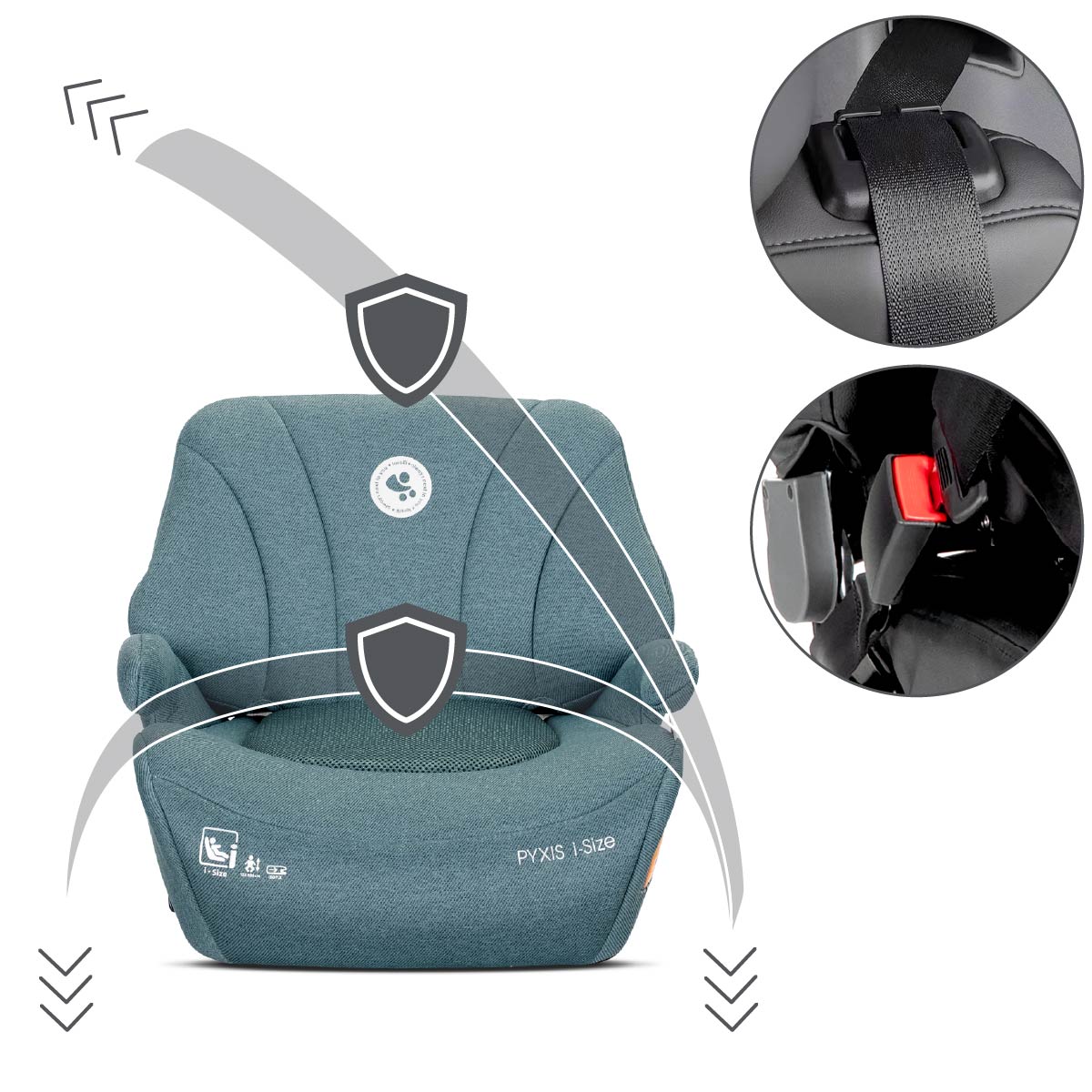 Lorelli Pyxis - podkładka podwyższenie z oparciem ISOFIX 125-150cm | Blue