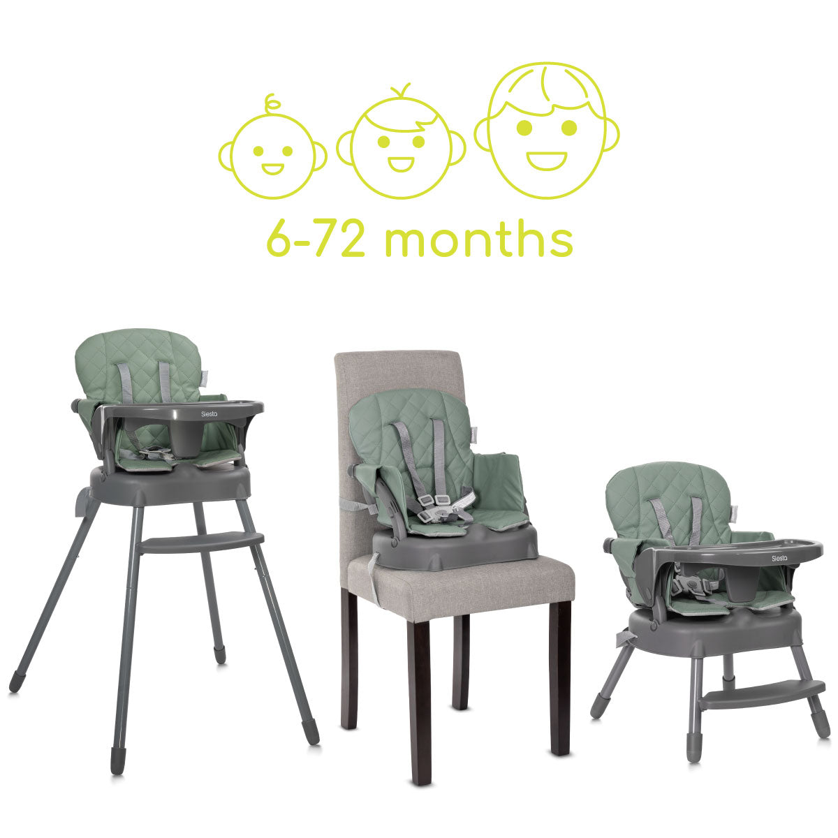 Lorelli Siesta - krzesełko do karmienia 3w1 | Green Leather.