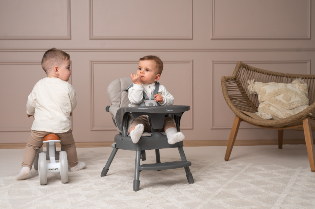 Lorelli Siesta - krzestełko do karmenia 3w1 | Grey Leather.