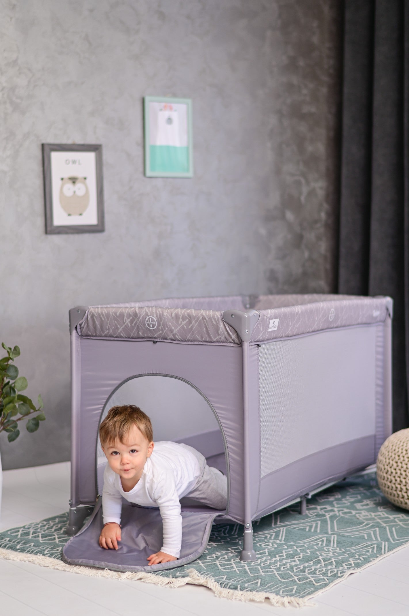 ba54aa7d5bff6857d67009d9c193061c