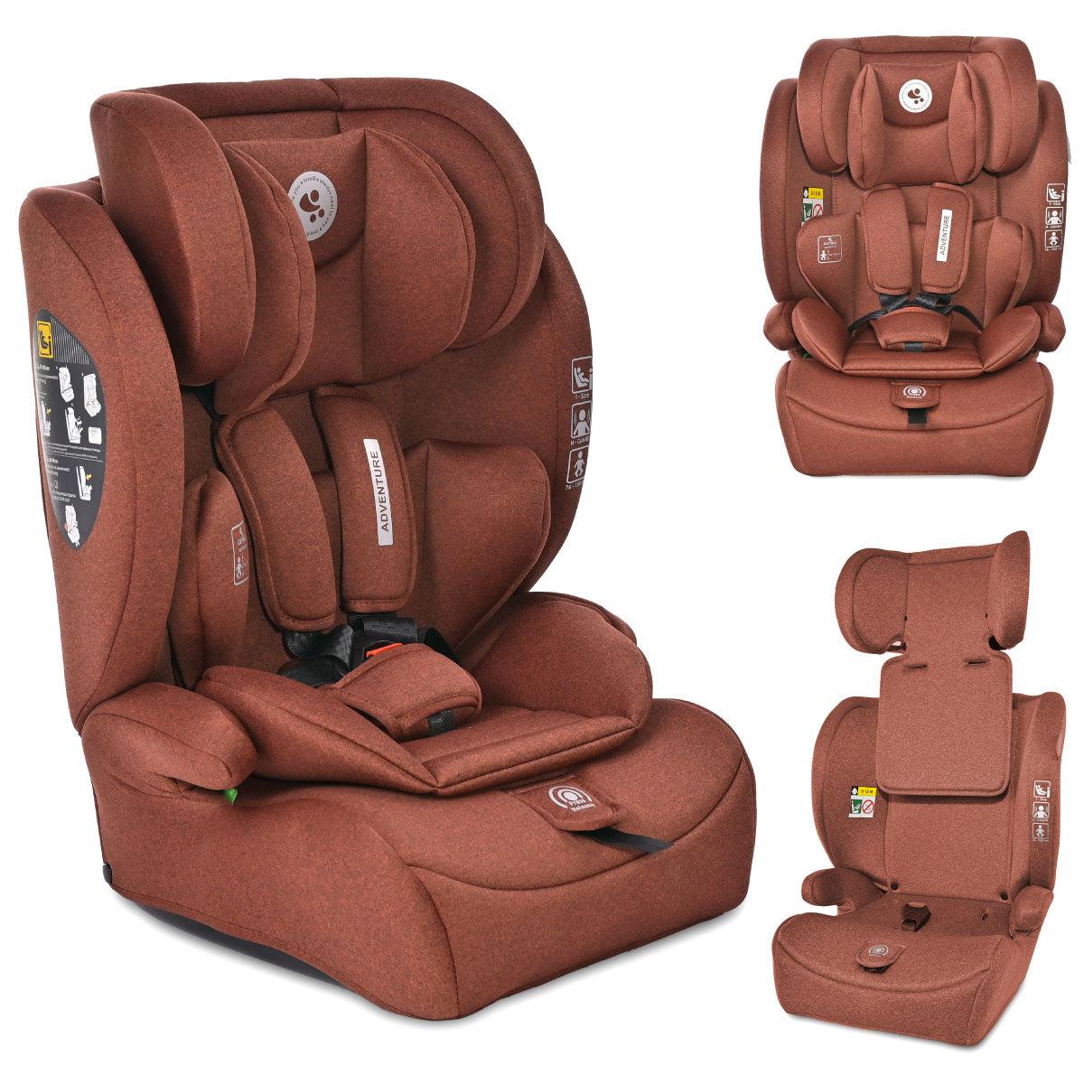 Lorelli Adventure - fotelik i-Size 76-150cm | Ginger.