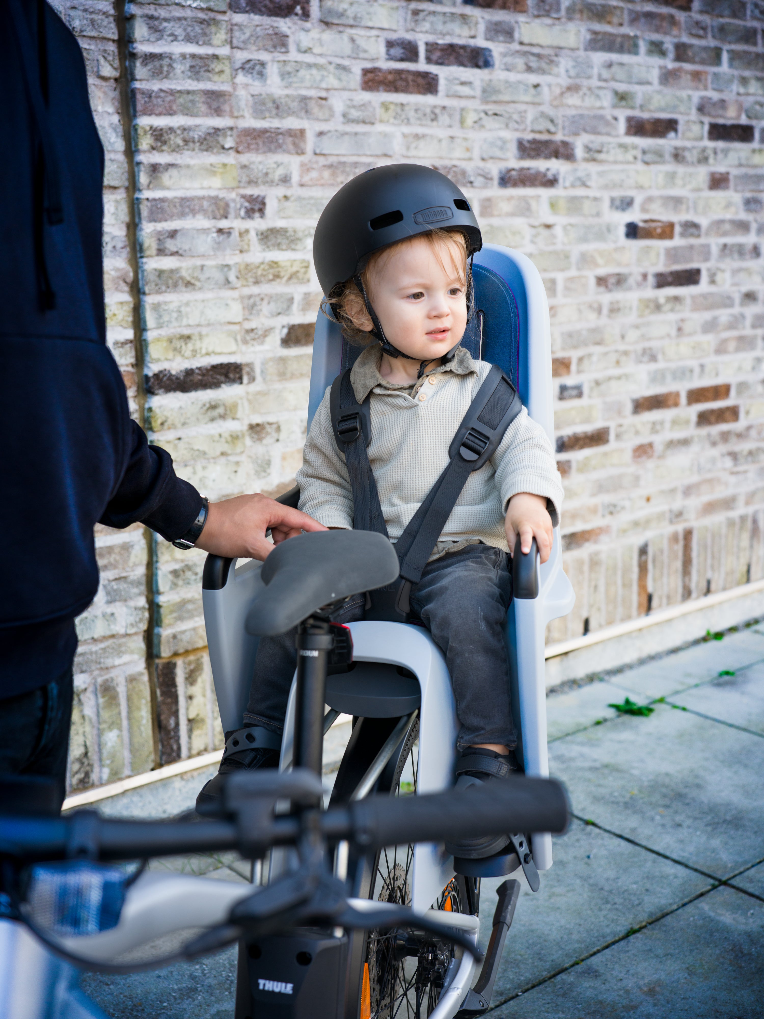 Thule RideAlong Fotelik rowerowy tylny Light Grey
