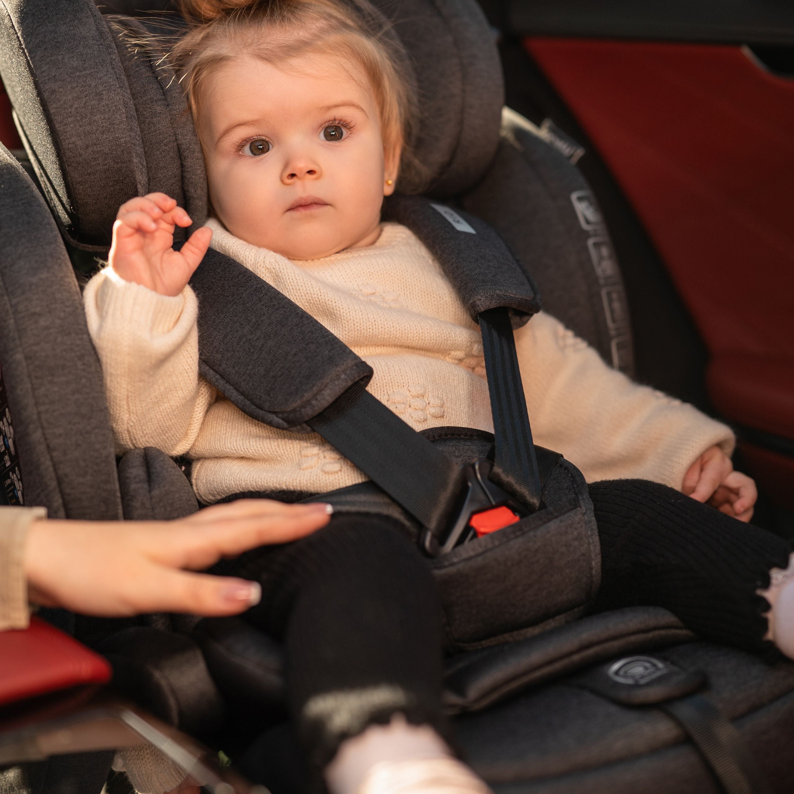 Lorelli Rio - fotelik i-Size 76-150 cm ISOFIX | Grey