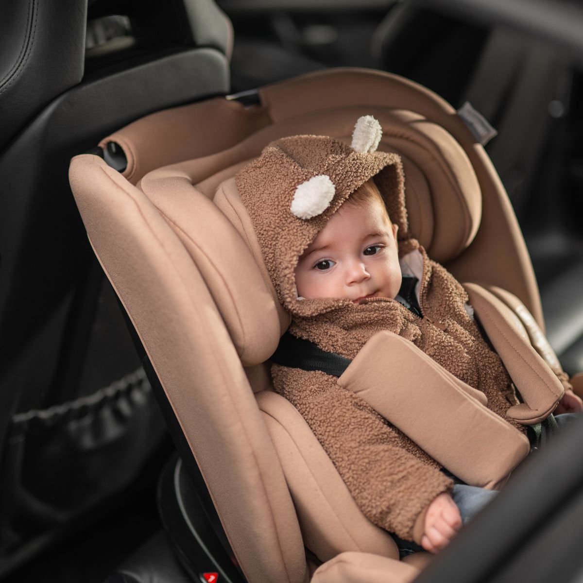 55d1d85cb39d0798486daf61f3771d60