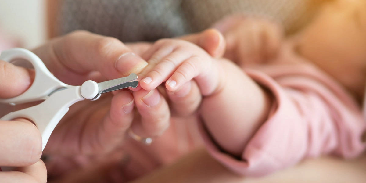 655bee39abfd1fd9c2402698e9f82198