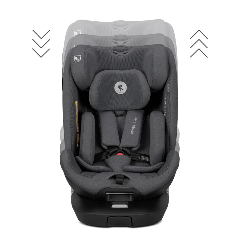 01e45b006647a8c004a38578c99dd797