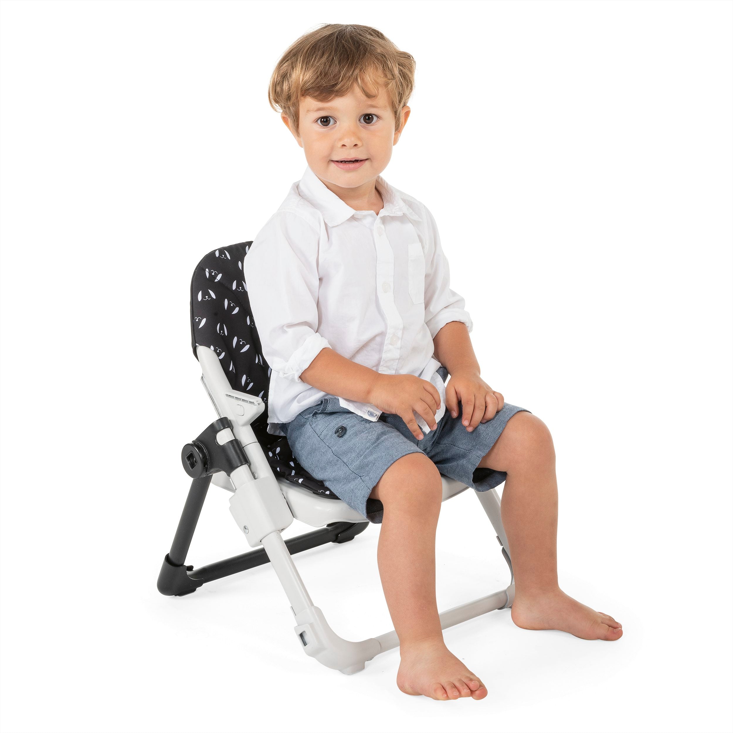 Chicco KRZESŁO CHAIRY SWEETDOG