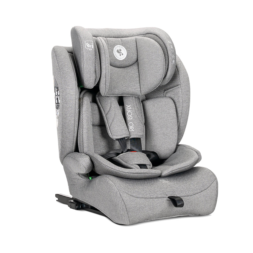 Lorelli Rio - fotelik i-Size 76-150 cm ISOFIX | Grey
