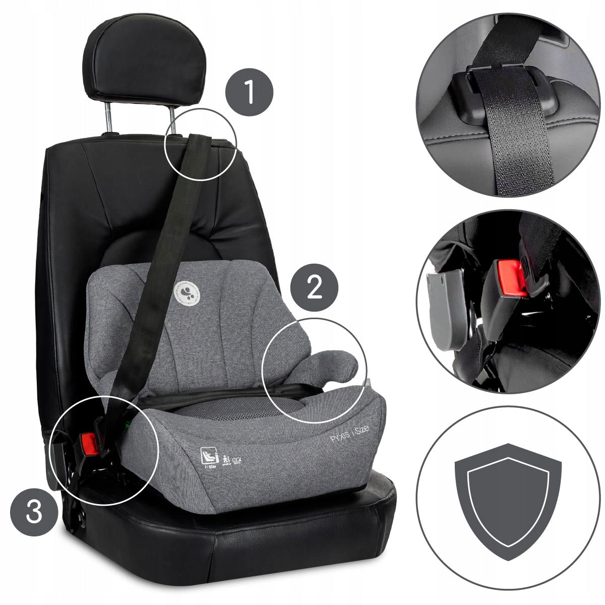 Lorelli Pyxis - podkładka podwyższenie z oparciem ISOFIX 125-150cm | Blue