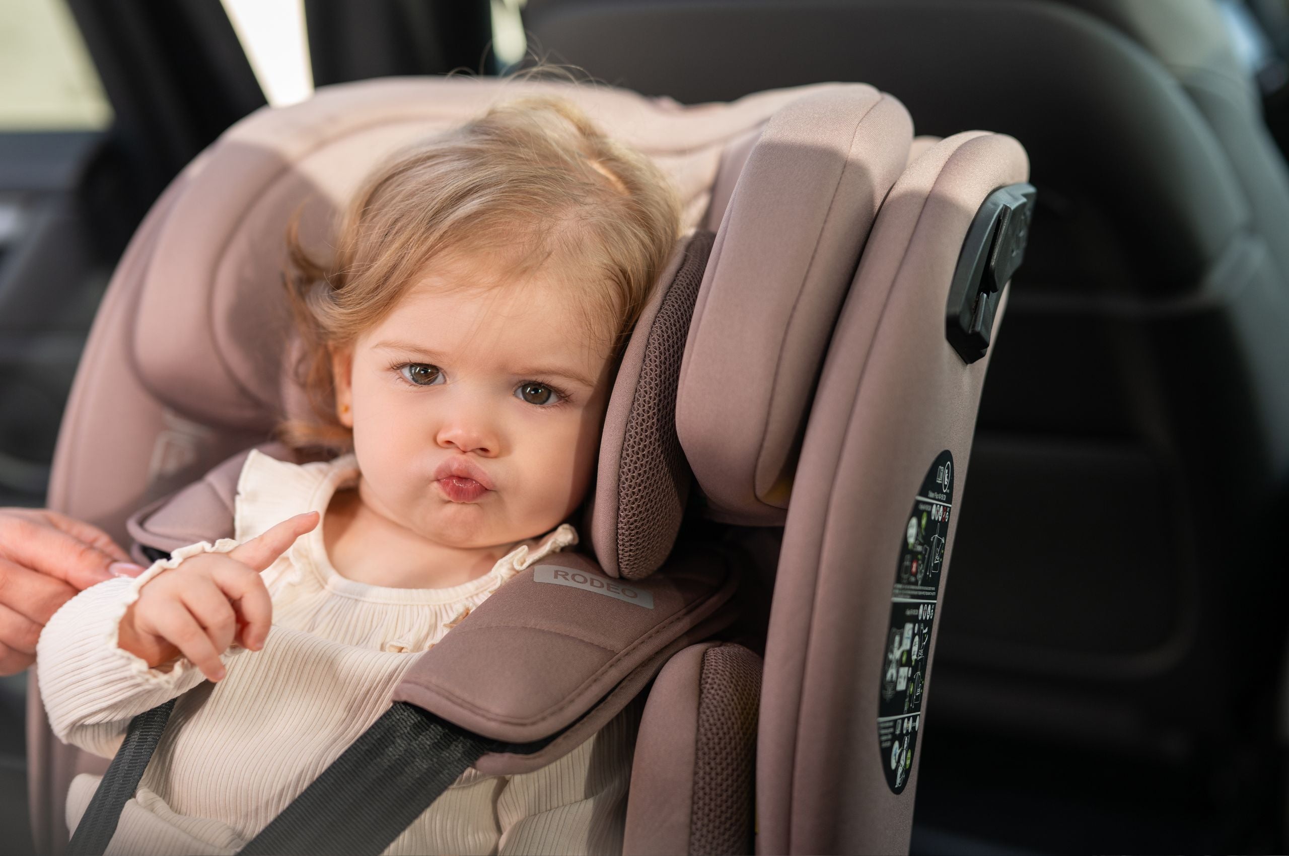 Lorelli Rodeo - fotelik 40-150 cm ISOFIX 360 | Pink