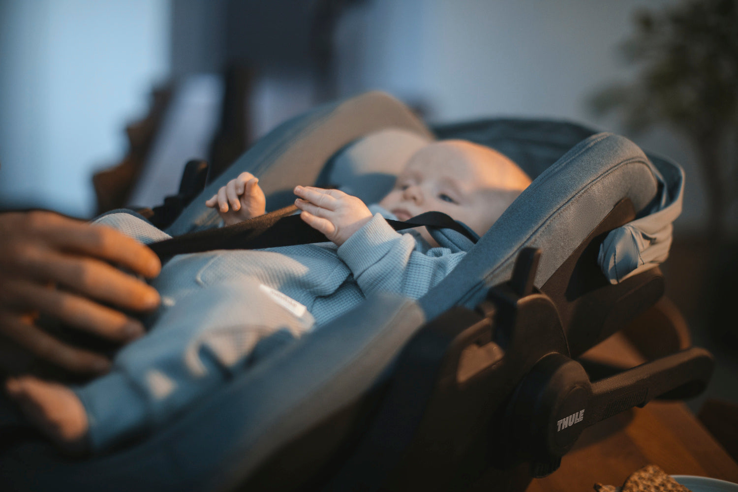 Thule Maple fotelik dla niemowlaka 0-13 Mid Blue