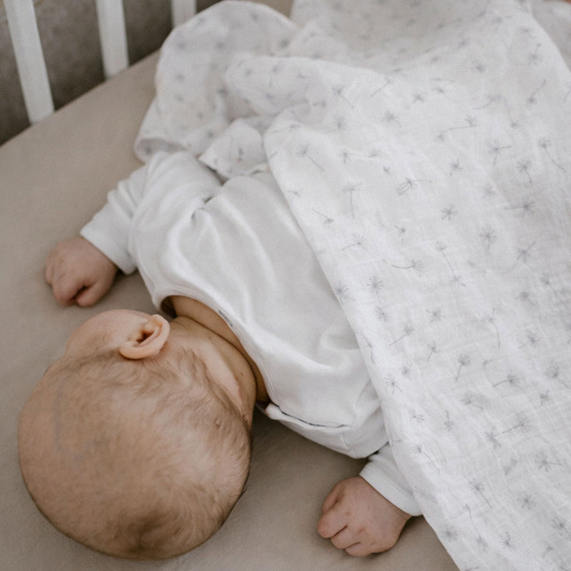 7552f57757cf9c470988ca01bb664f8a