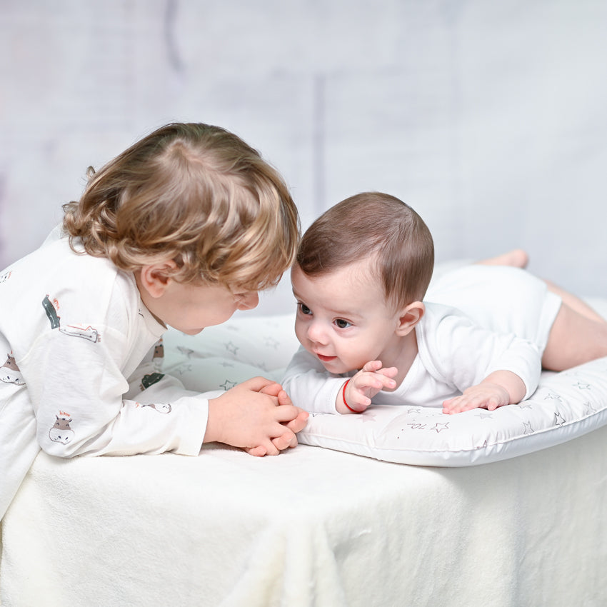 0d956e176965d39e4f138499f0d31de8