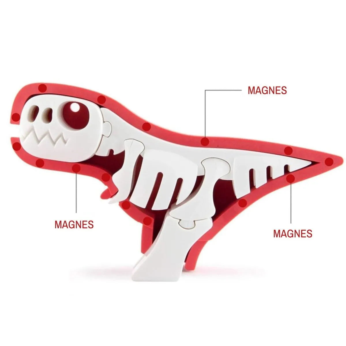 Halftoys - magnetyczne składane dinozaury - JasieBasie.pl